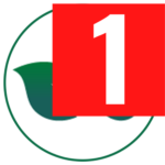 metanail-1ak.pages.dev favicon